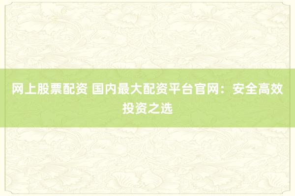 网上股票配资 国内最大配资平台官网：安全高效投资之选