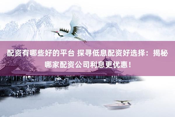配资有哪些好的平台 探寻低息配资好选择：揭秘哪家配资公司利息更优惠！