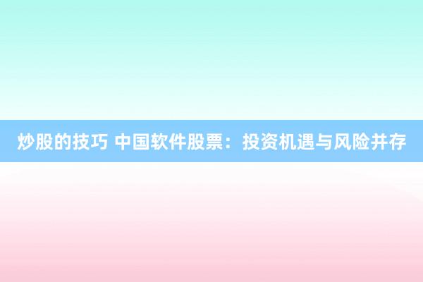 炒股的技巧 中国软件股票：投资机遇与风险并存