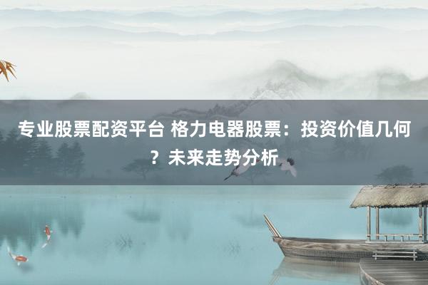 专业股票配资平台 格力电器股票：投资价值几何？未来走势分析
