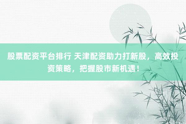 股票配资平台排行 天津配资助力打新股，高效投资策略，把握股市新机遇！